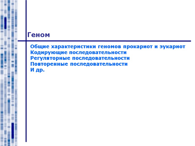 Геном Общие характеристики геномов прокариот и эукариот Кодирующие последовательности Регуляторные последовательности Повторенные последовательности И